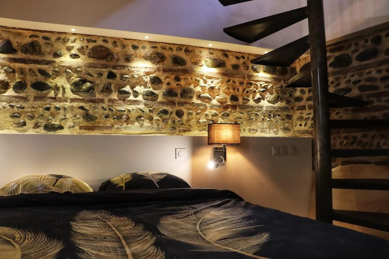 Appartement Les Perles du Midi - Cocons calmes et unique en hyper-centre à Toulouse