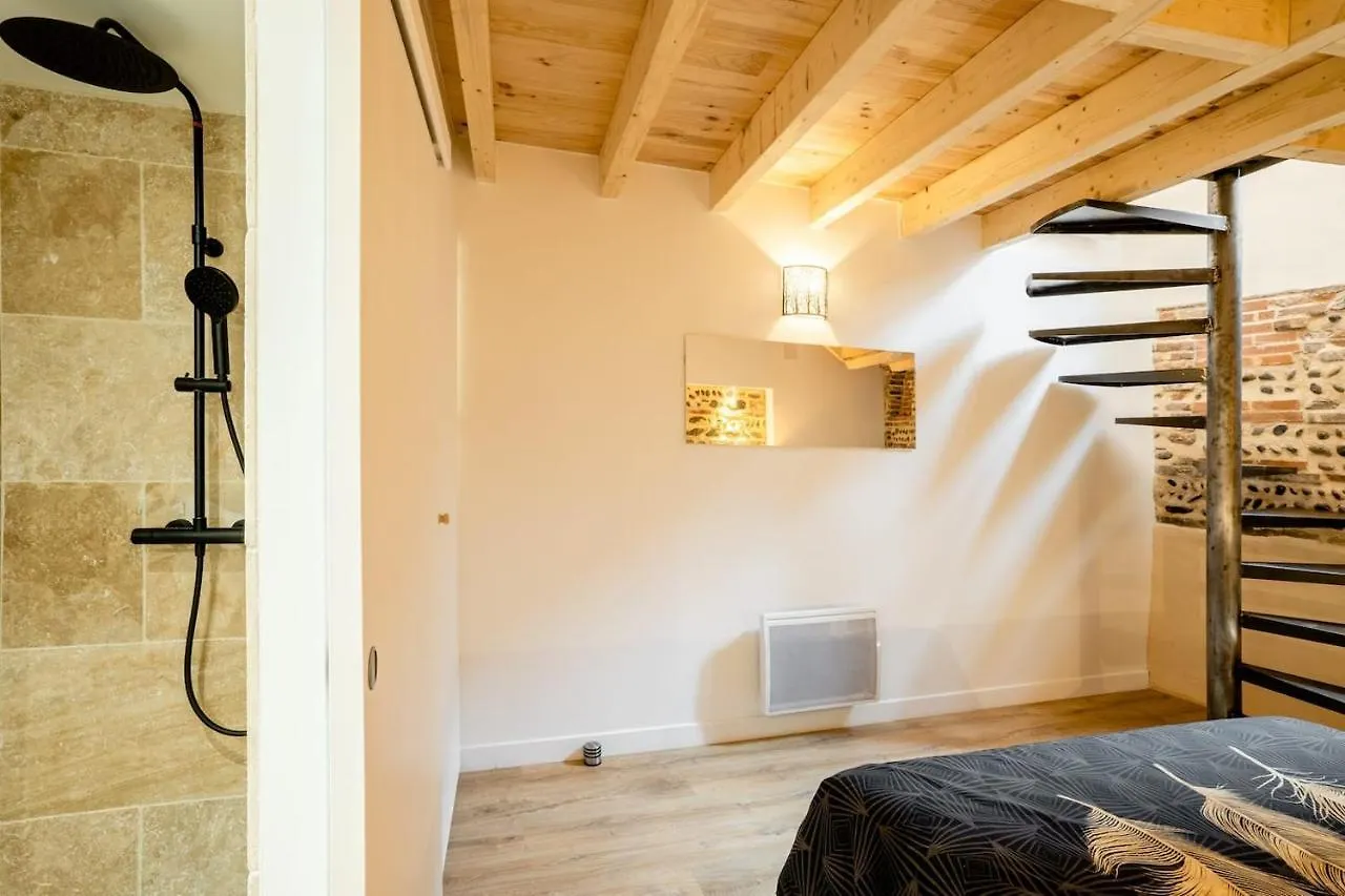 Les Perles Du Midi - Cocons Calmes Et Unique En Hyper-Centre Apartment Toulouse